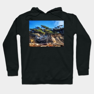 Kalaloch Tree of Life Hoodie